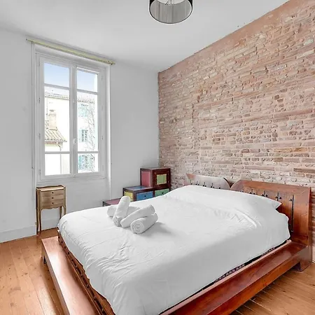 Apartment Rare Pearl Very Quiet And Bright In Toulouse