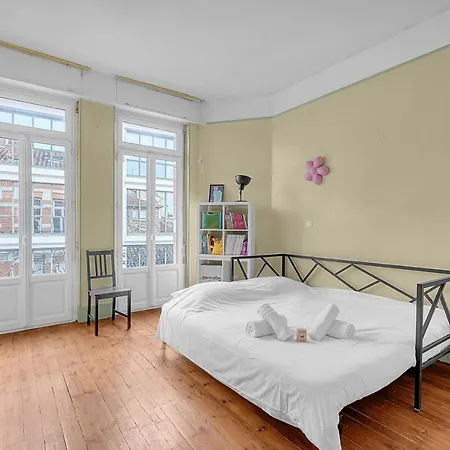 Rare Pearl Very Quiet And Bright In Apartment Toulouse